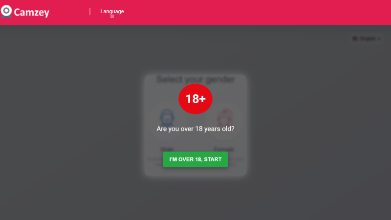 Camzey chat delivers fast, unpredictable face to face conversations.